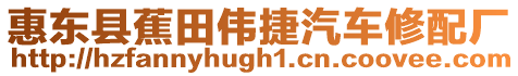 惠東縣蕉田偉捷汽車修配廠