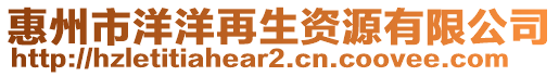 惠州市洋洋再生資源有限公司