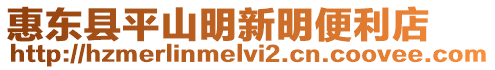 惠東縣平山明新明便利店