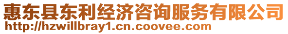 惠東縣東利經濟咨詢服務有限公司