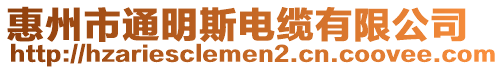 惠州市通明斯電纜有限公司
