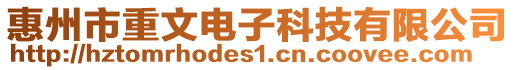 惠州市重文電子科技有限公司