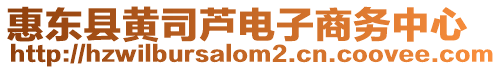 惠東縣黃司蘆電子商務(wù)中心