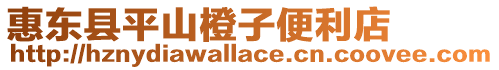 惠東縣平山橙子便利店