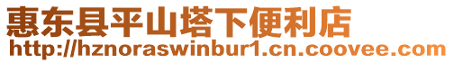 惠東縣平山塔下便利店