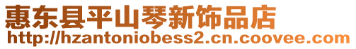 惠東縣平山琴新飾品店