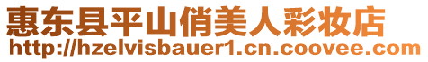 惠東縣平山俏美人彩妝店