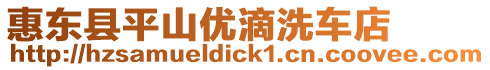 惠東縣平山優滴洗車店