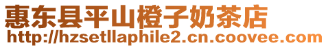 惠東縣平山橙子奶茶店