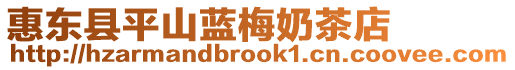 惠東縣平山藍梅奶茶店