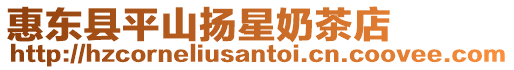 惠東縣平山揚星奶茶店