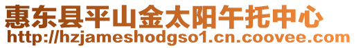 惠東縣平山金太陽午托中心