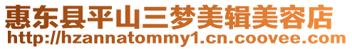 惠東縣平山三夢美輯美容店