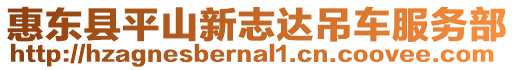 惠東縣平山新志達吊車服務部