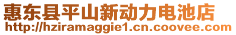 惠東縣平山新動(dòng)力電池店