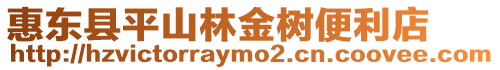 惠東縣平山林金樹便利店