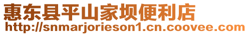 惠東縣平山家壩便利店