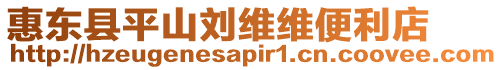 惠東縣平山劉維維便利店