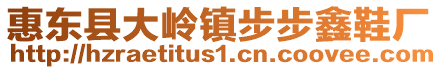 惠東縣大嶺鎮步步鑫鞋廠