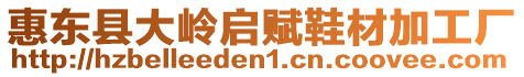惠東縣大嶺啟賦鞋材加工廠