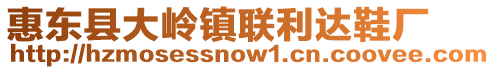 惠東縣大嶺鎮聯利達鞋廠