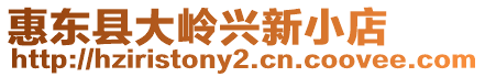 惠東縣大嶺興新小店