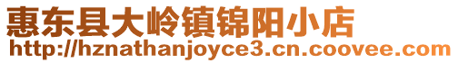 惠東縣大嶺鎮錦陽小店
