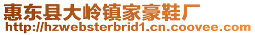 惠東縣大嶺鎮(zhèn)家豪鞋廠