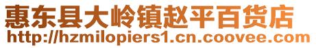 惠東縣大嶺鎮趙平百貨店