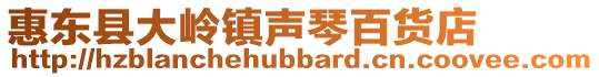 惠東縣大嶺鎮聲琴百貨店