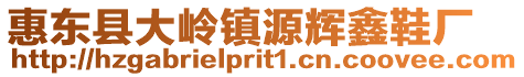 惠東縣大嶺鎮源輝鑫鞋廠