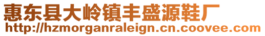 惠東縣大嶺鎮(zhèn)豐盛源鞋廠