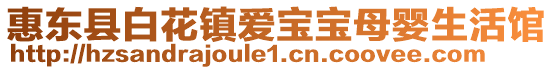 惠東縣白花鎮(zhèn)愛寶寶母嬰生活館