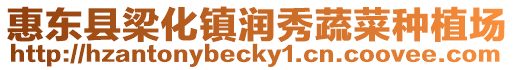 惠東縣梁化鎮潤秀蔬菜種植場