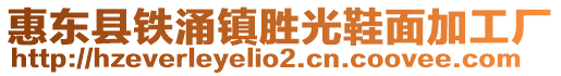 惠東縣鐵涌鎮勝光鞋面加工廠