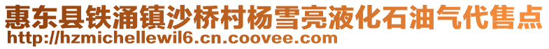 惠東縣鐵涌鎮沙橋村楊雪亮液化石油氣代售點