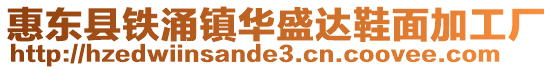 惠東縣鐵涌鎮(zhèn)華盛達(dá)鞋面加工廠