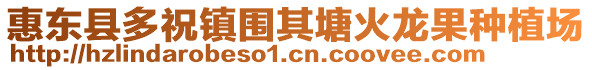 惠東縣多祝鎮(zhèn)圍其塘火龍果種植場
