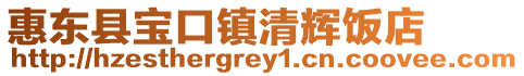 惠東縣寶口鎮(zhèn)清輝飯店