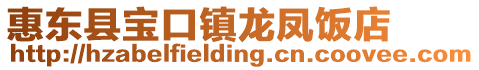 惠東縣寶口鎮龍鳳飯店