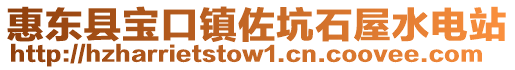 惠東縣寶口鎮佐坑石屋水電站