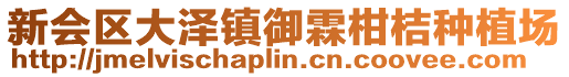 新會(huì)區(qū)大澤鎮(zhèn)御霖柑桔種植場(chǎng)