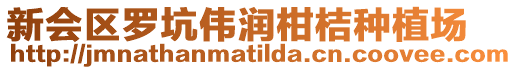 新會區(qū)羅坑偉潤柑桔種植場