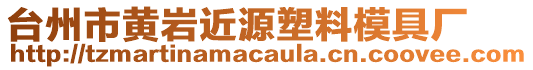 臺(tái)州市黃巖近源塑料模具廠