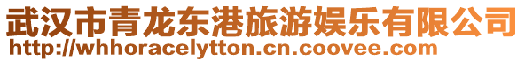 武漢市青龍東港旅游娛樂有限公司