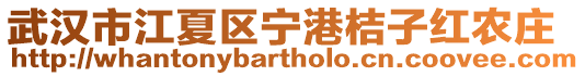 武漢市江夏區寧港桔子紅農莊