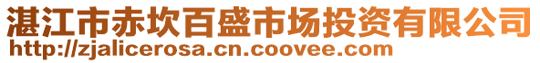 湛江市赤坎百盛市場投資有限公司