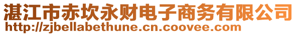 湛江市赤坎永财电子商务有限公司