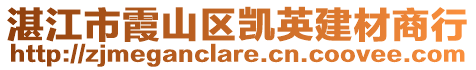 湛江市霞山區凱英建材商行