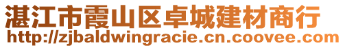 湛江市霞山區(qū)卓城建材商行